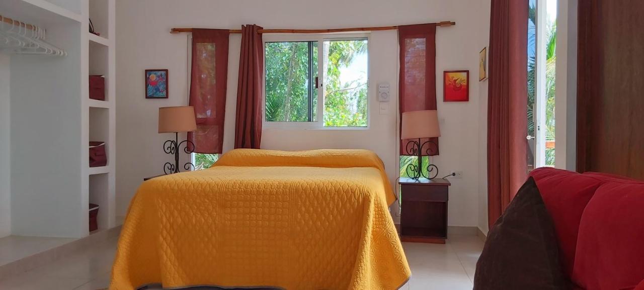 Mini Pini Bird Watching And Cenote Loft Villa Cozumel Bagian luar foto