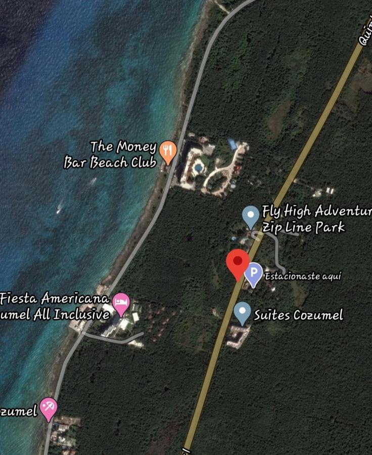 Mini Pini Bird Watching And Cenote Loft Villa Cozumel Bagian luar foto