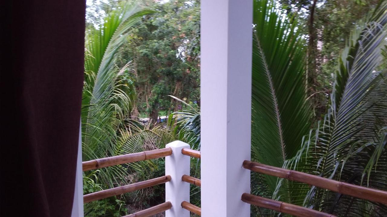 Mini Pini Bird Watching And Cenote Loft Villa Cozumel Bagian luar foto
