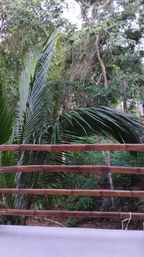 Mini Pini Bird Watching And Cenote Loft Villa Cozumel Bagian luar foto