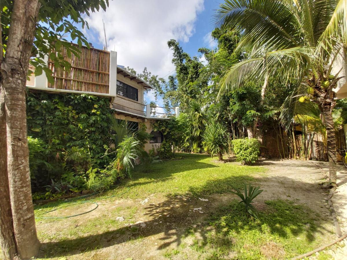 Mini Pini Bird Watching And Cenote Loft Villa Cozumel Bagian luar foto