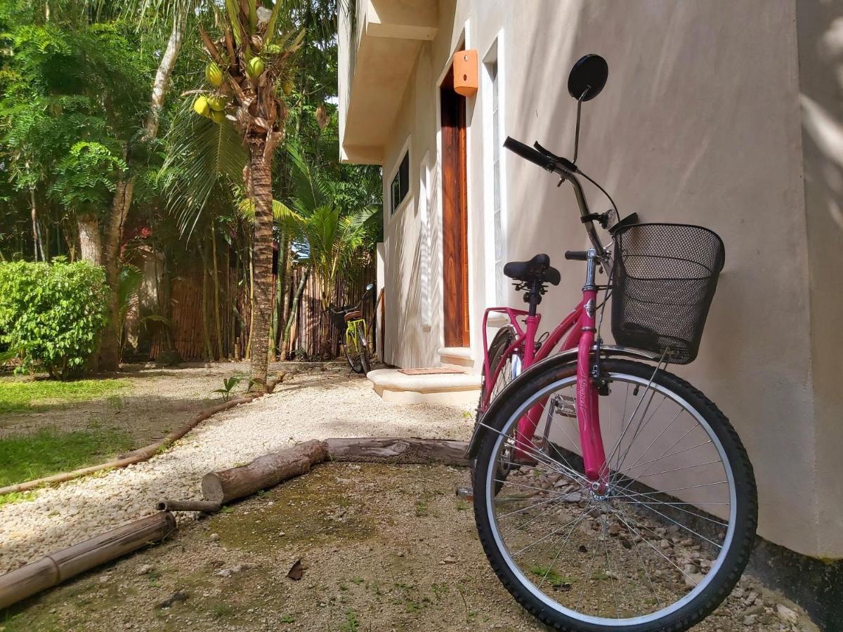 Mini Pini Bird Watching And Cenote Loft Villa Cozumel Bagian luar foto