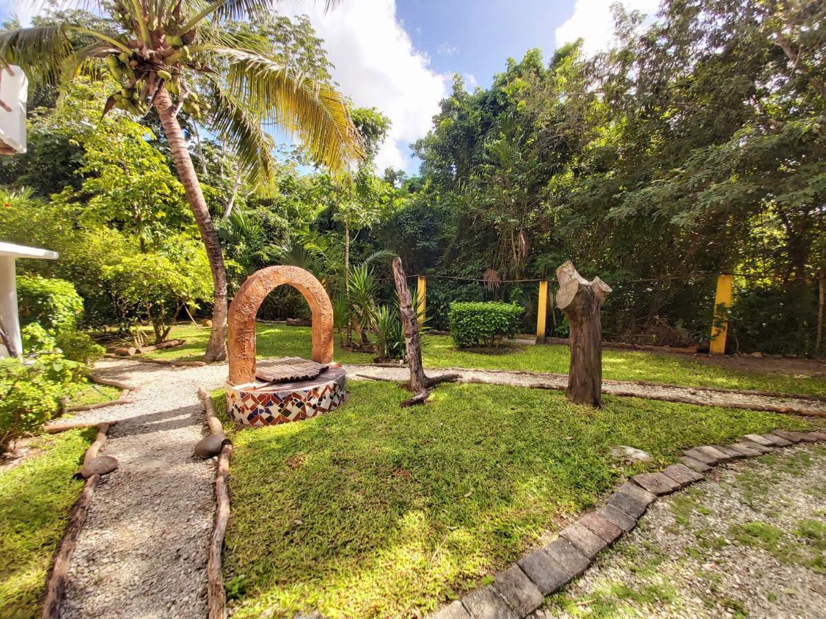 Mini Pini Bird Watching And Cenote Loft Villa Cozumel Bagian luar foto