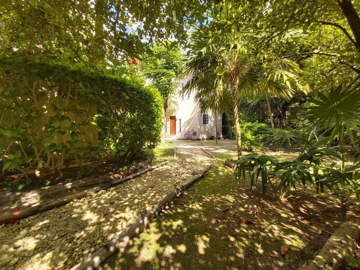 Mini Pini Bird Watching And Cenote Loft Villa Cozumel Bagian luar foto