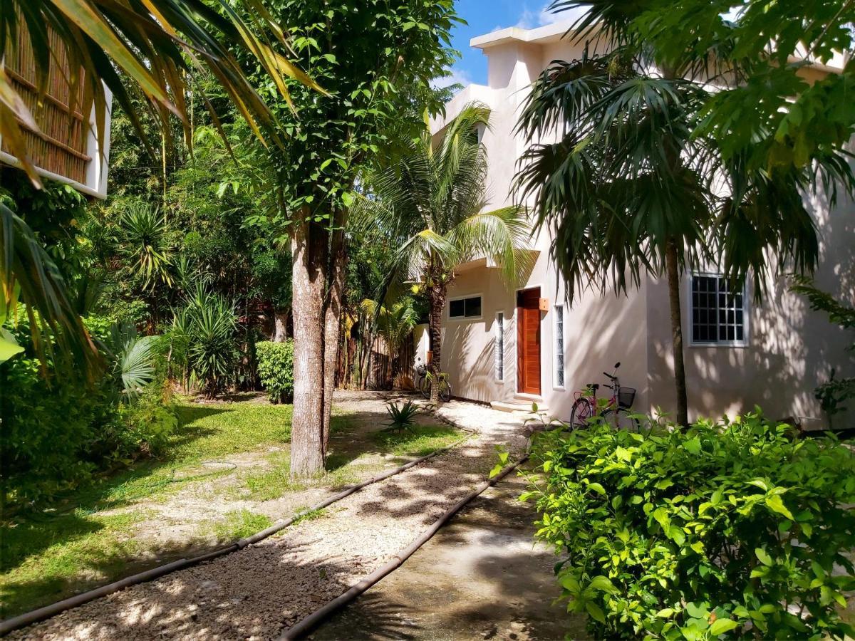 Mini Pini Bird Watching And Cenote Loft Villa Cozumel Bagian luar foto