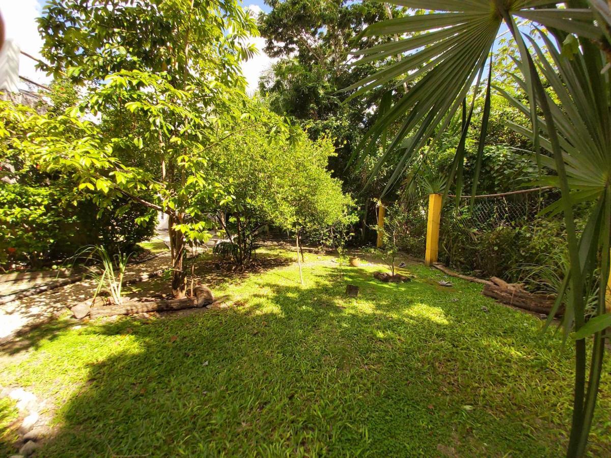 Mini Pini Bird Watching And Cenote Loft Villa Cozumel Bagian luar foto