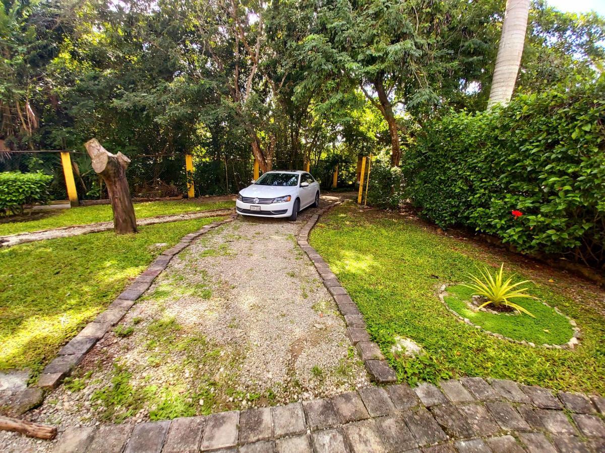 Mini Pini Bird Watching And Cenote Loft Villa Cozumel Bagian luar foto